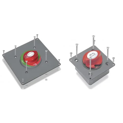 BSP-1