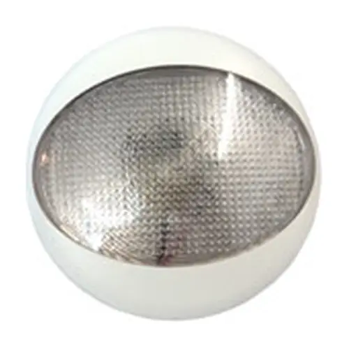 Powerful LED White Ceiling Light 12-24v